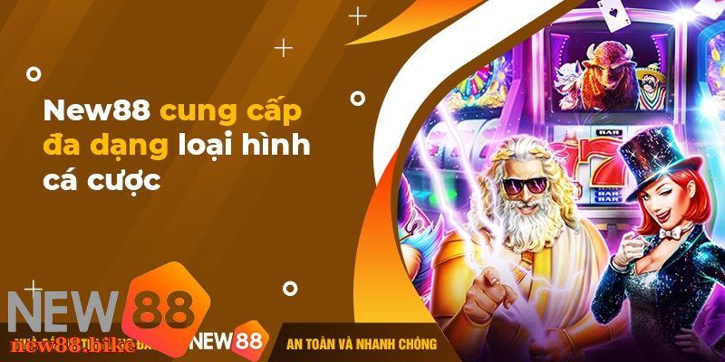 NEW88 cung cấp đa dạng sản phẩm