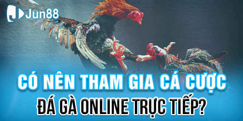 Tìm Hiểu Về Việc Đặt Cược Trực Tiếp Đá Gà Online