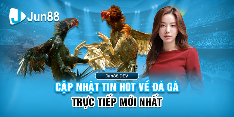 Thông Tin Nóng Hổi Về Sự Kiện Đá Gà Trực Tiếp Hấp Dẫn Nhất